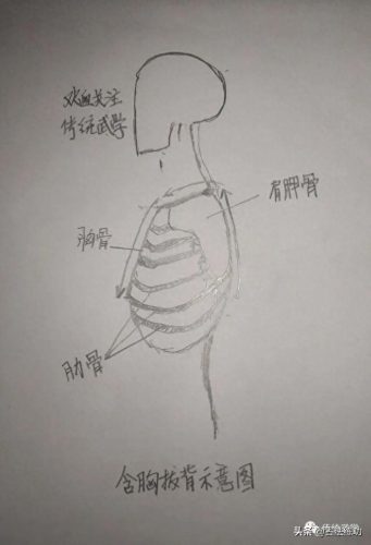 什么叫含胸(含胸是指什么意思)插图4