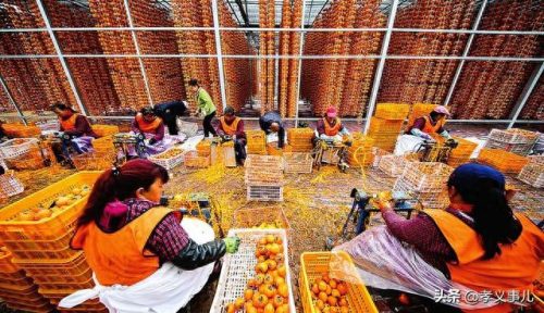 孝义排名前十特产(孝义特产必买清单)插图6