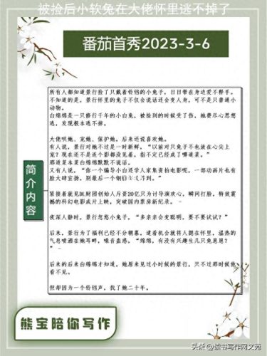 晋江卡片排名前十(晋江top100)插图45