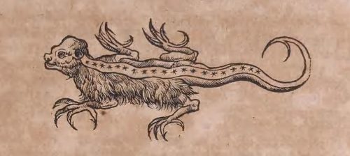 火蝾螈是什么动物有什么危害(蝾螈的危害)插图5