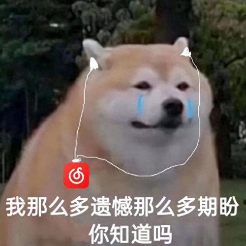 听音乐图片(听歌图片大全唯美)插图5