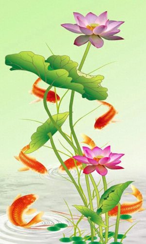 鱼鱼桌面秀(鱼鱼桌面秀侧边栏)插图58