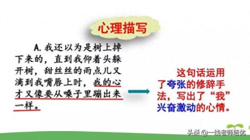 崩组词和拼音(崩组词)插图37