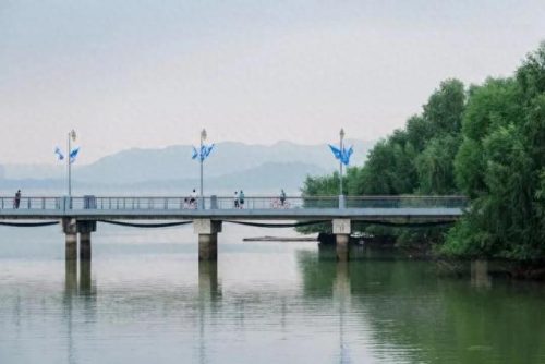 荷兰旅游排名前十(荷兰花海)插图30