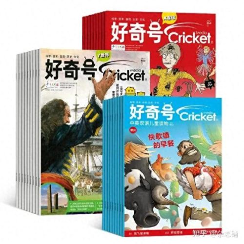 初中作文杂志排名前十(写人作文600字范文初中)插图1