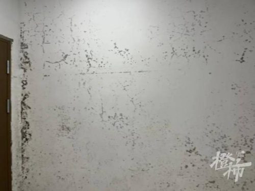 杭州最美车库排名前十(重庆最漂亮的车库)插图2