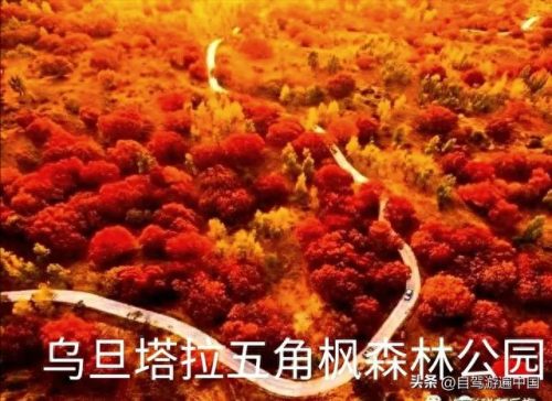 内蒙古20个景区排名前十(内蒙古十大五a景点)插图21