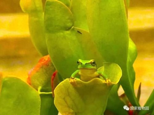 排名前十火的景点(新余景点排名前十)插图6