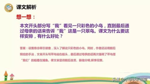 美观的反义词是什么(美观近义词)插图18