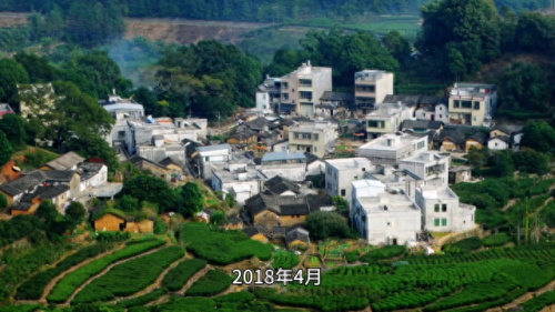 茶叶价格排名前十(特级六安瓜片茶叶价格)插图1