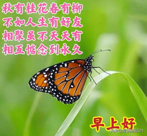 521创意图片(521有意思的图片)插图2