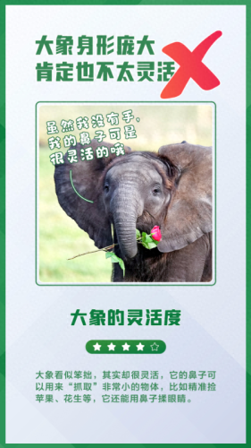 什么的大象(又什么又什么的大象)插图3