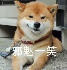什么是莞式服务(东莞标准化服务流程有哪些)插图3