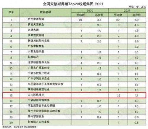 养牛公司排名前十(养牛的10大忠告)插图