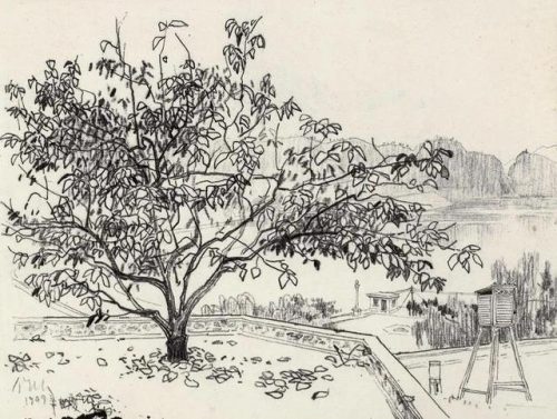 叶开头的成语(根开头的成语)插图1