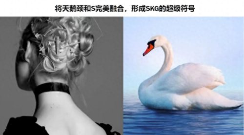 视觉公司排名前十(视觉系统厂家排名)插图8