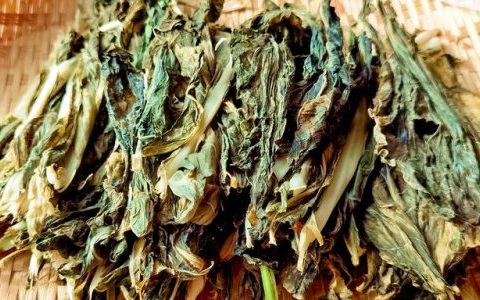 花椰菜吃的是什么部位(吃花椰菜主要吃哪个部分)