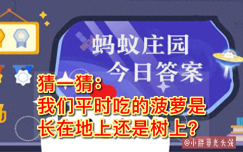 菠萝和鸡蛋可以一起吃吗蚂蚁庄园(菠萝和鸡蛋蚂蚁庄园)
