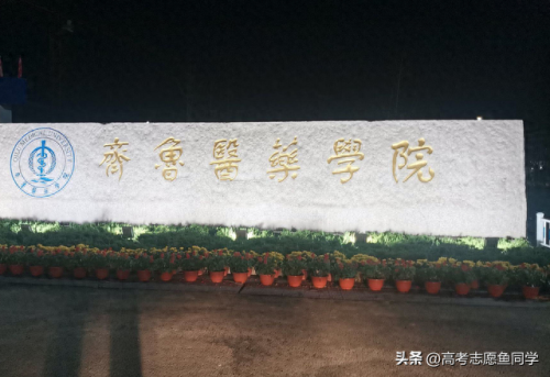 中医专业民办大学排名前十(中医专业民办大学排名)插图2