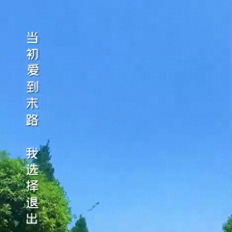 丢了幸福的猪广场舞(丢了幸福的猪)插图