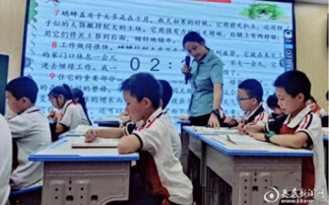 娄星区小学排名前十(娄星区哪个小学最好的)