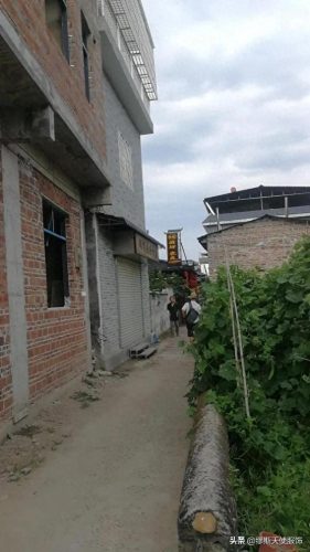 仁化酒厂排名前十(仁化酒厂招聘)插图3