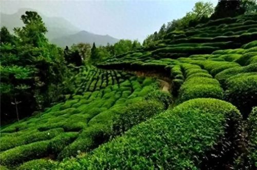 周至红色旅游景点排名前十(周至免费旅游景点大全介绍)插图20