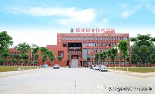 杨凌职业技术学院自主招生(杨凌职业学院有前途吗)插图1