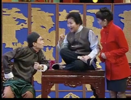 2013辽宁春晚(2023辽宁春晚)插图8