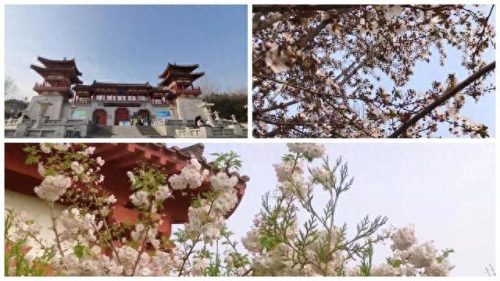 西安自然景点排名前十(西安市内十大景点排名榜)插图6