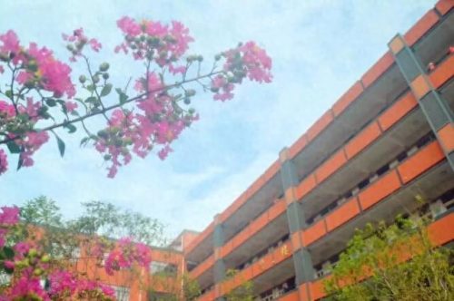 昆山校区排名前十(昆山十大最好小学排名)插图29