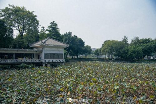 仁威祖庙(仁威祖庙祭拜流程)插图2