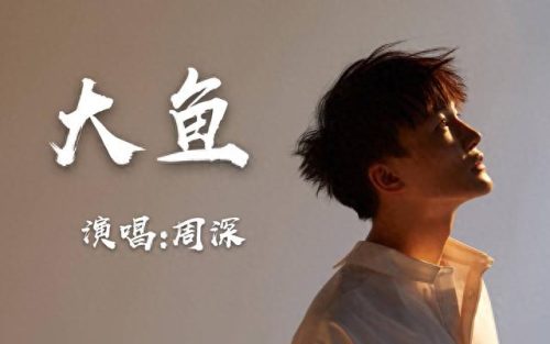 最新沙哑嗓音歌手排名前十(沙哑嗓音女网红)插图4