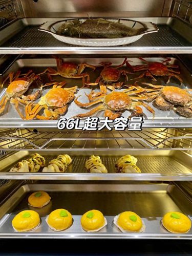 排名前十的集成灶有帅丰吗(帅丰集成灶是十大品牌之一吗)插图7