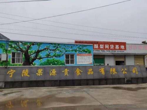 梨膏加工公司排名前十(砀山梨膏哪个牌子最好)插图3