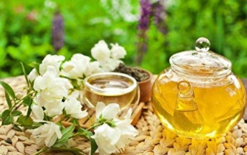 桑寄生的功效与作用及食用方法(桑寄生图片)插图13