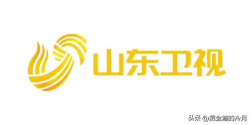 中国电视台公司排名前十(国内电视台排名前十)插图9