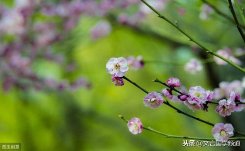 随风潜入夜的下一句(随风潜入夜润物细无声)插图2