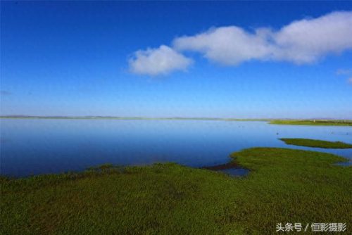 蓝蓝天青青草(青青柳叶蓝蓝天)插图1