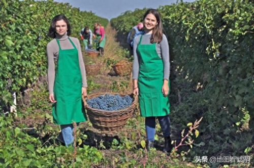 世界酒窖排名前十(世界十大私人顶级酒窖)插图12
