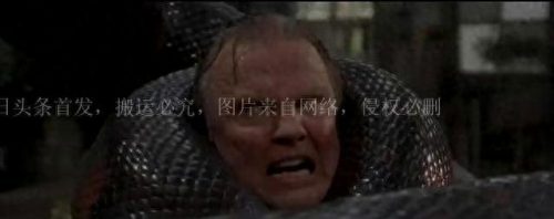 电影怪兽排名前十(怪兽电影大全免费观看)插图3