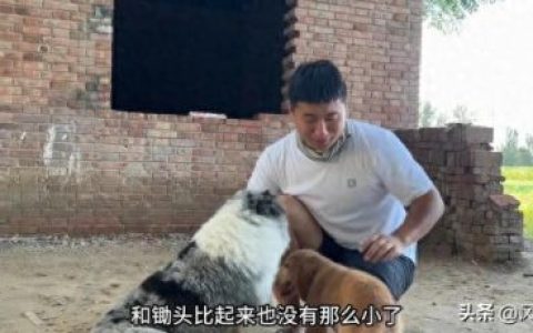 创业博主排名前十(炒股十大网红)