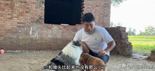 创业博主排名前十(炒股十大网红)插图