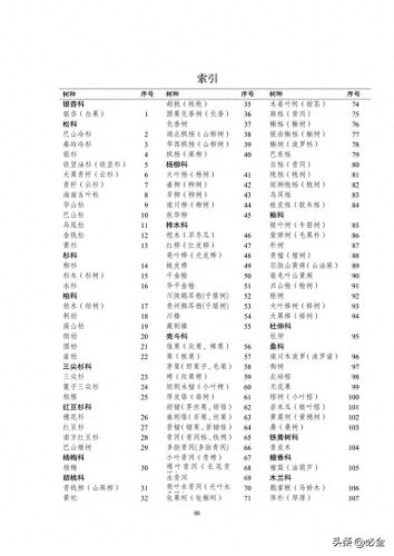重庆市排名前十的树是哪些(镇宅十大吉树)插图1