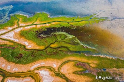 盐城水域排名前十(盐城市省内排名)插图15