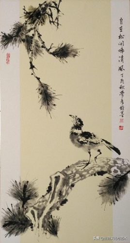 白腹凯克鹦鹉(凯克多少钱一只)插图19