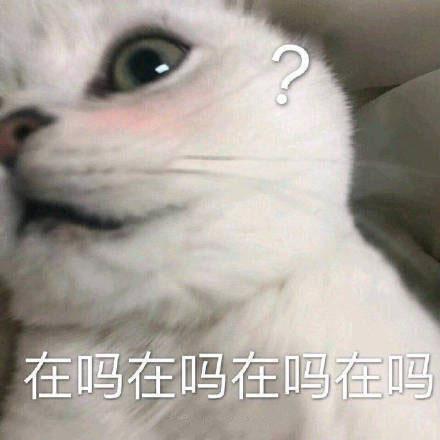 打招呼表情(哈喽表情包)插图8