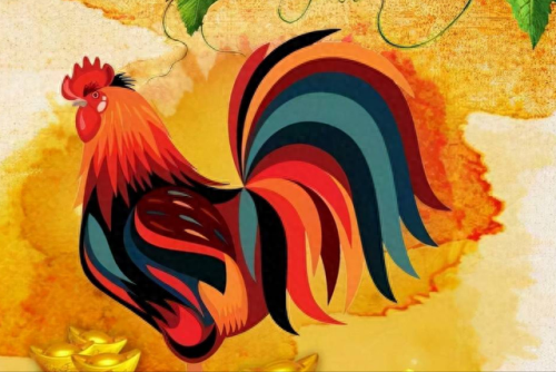 三妻四妾指的是什么生肖(三妻四妾打一个数字)插图2