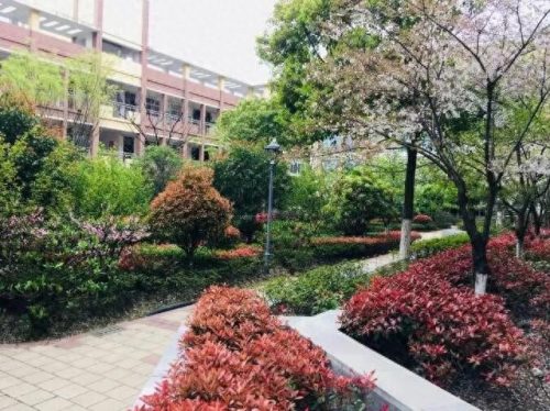昆山校区排名前十(昆山十大最好小学排名)插图55