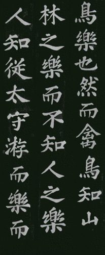 楷书字帖排名前十(硬笔十大最好楷书字帖)插图7